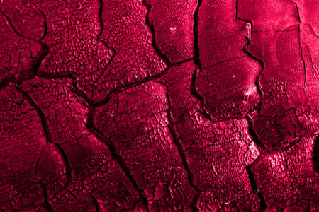 background of charred wood macro photoの写真素材