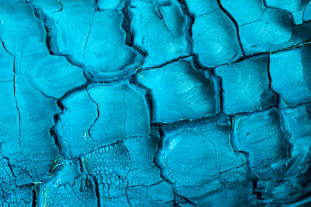 background of charred wood macro photoの写真素材