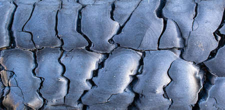 background of charred wood macro photoの写真素材