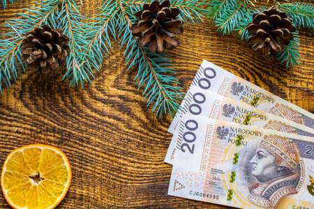 money for the holidays. Christmas bonus. Christmas gift