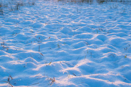 snowdrifts. snow lying on the meadow