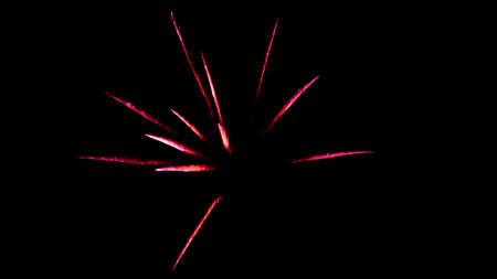 palm or star type fireworks isolatedの写真素材