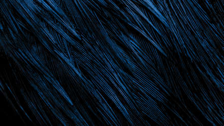 background with bird basant feathers.の写真素材