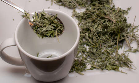 dried wormwood herb for medicinal tea. absinthe and thujoneの写真素材