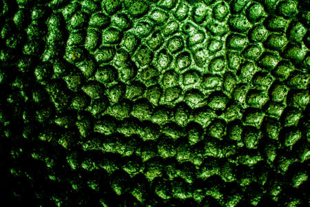 abstract crystalline backgroundの写真素材