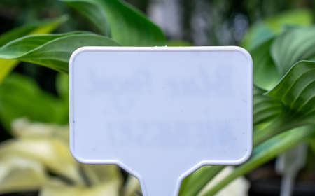 white information plate with space for text
