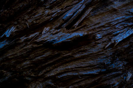 abstract cracked wood background, texture or wallpaperの写真素材