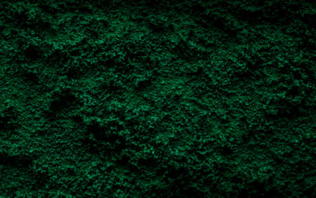 green porous grainy texture for backgroundの写真素材