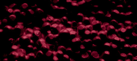 red background or texture of fine ballsの写真素材