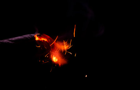 fire in dark. explosion black powder.