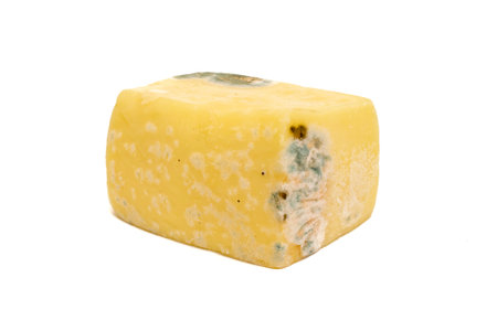 ripening yellow cheese. mold covered cheese, spoiled cheeseの写真素材