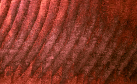 oxidized copper, abstract artistic backgroundの写真素材