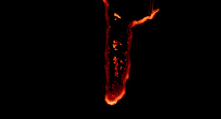 burning paper, glowing edge of paper on a black background