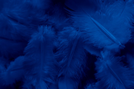 blue feather pigeon macro photo. texture or backgroundの写真素材