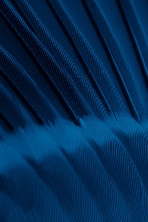 feather tit macro photo. texture or backgroundの写真素材