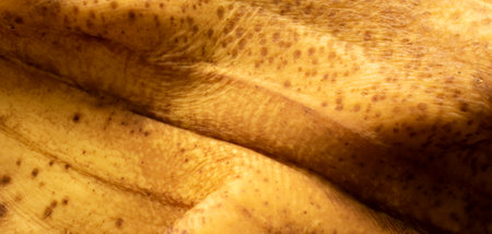 banana peel background in different light