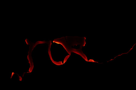 burning paper, glowing edge of paper on a black backgroundの写真素材