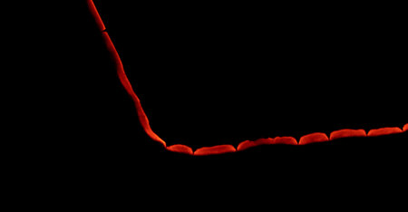 burning paper, glowing edge of paper on a black background