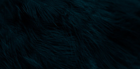 feather pigeon macro photo. texture or backgroundの写真素材
