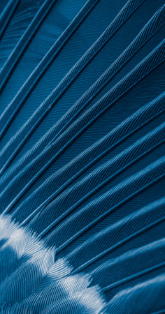 blue feather pigeon macro photo. texture or backgroundの写真素材