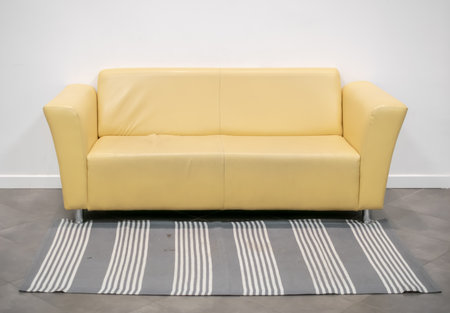 leather sofa with a rug against the wallの写真素材