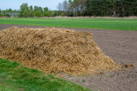 organic manure, natural fertilizer for farming