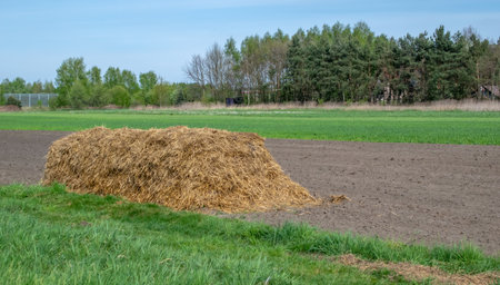 organic manure, natural fertilizer for farming