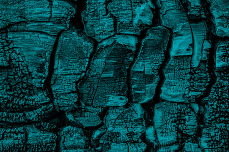 charred board, cracked charcoal structure