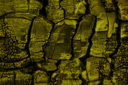 charred board, cracked charcoal structure