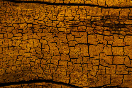 cracked wood yellow background or texture