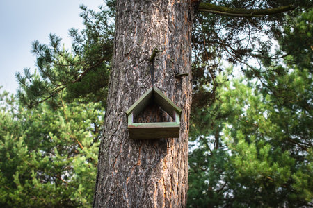 a bird nesting box hanging on a tree