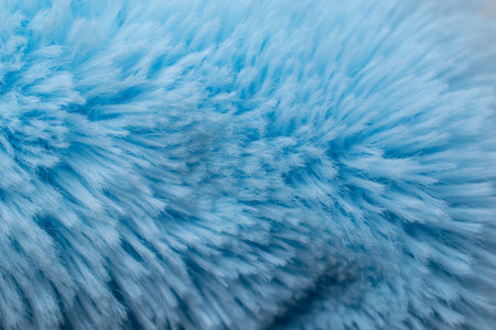 hairy background blue, short hairの写真素材