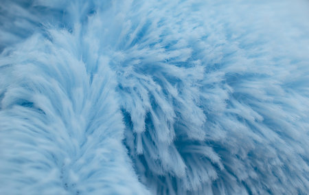 hairy background blue, short hairの写真素材