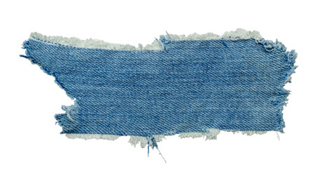 jeans. a frayed and torn piece of denim rag