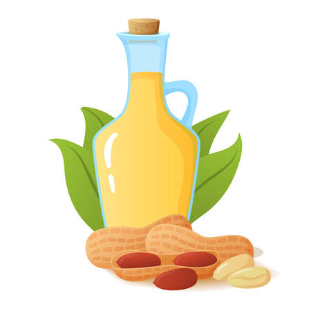 Peanut oil in glass bottle.Nut with palm leaves. Flat illustration.のイラスト素材