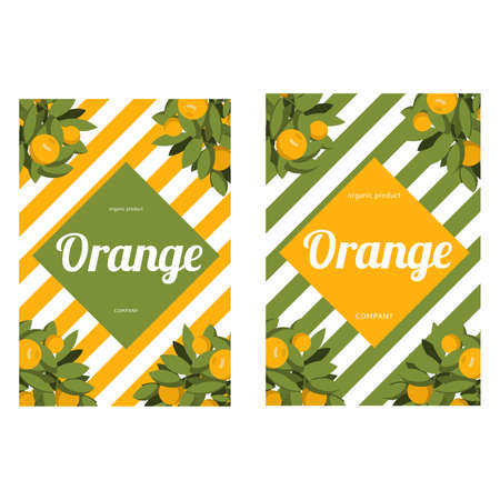 Banner with fresh oranges fruit and leaves.Citrus fruit natural ecology clean.のイラスト素材