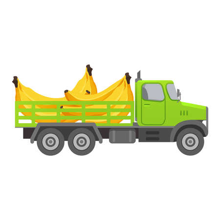 Food delivery truck fruits.Ripe banana harvesting .Ripe tropical fruit.のイラスト素材