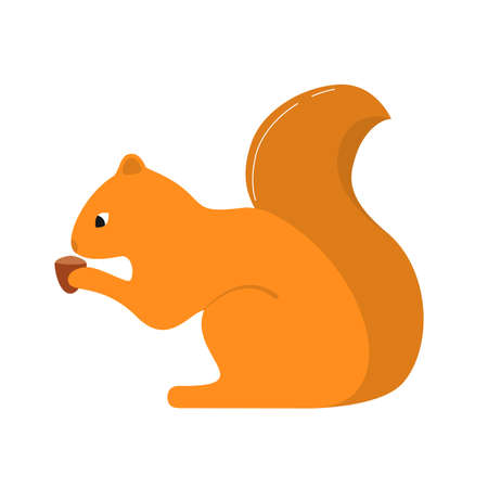 Animal squirrel with a nut. character the cartoon. In flat style.のイラスト素材