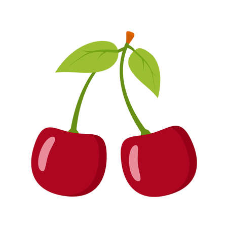 Ripe cherry on a branch with green leaves.Summer cherries berry.