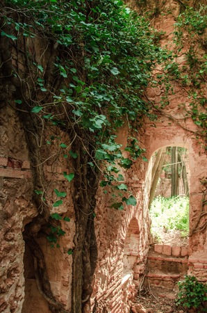 Rural Abandoned Homestead in a rural field in the Spainの写真素材