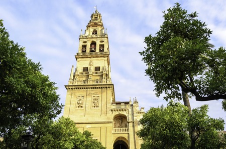View of Alcazar and Cathedral  Mosque of Cordoba, Spainの写真素材