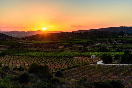 Peach fields at dusk in Valenciaの写真素材