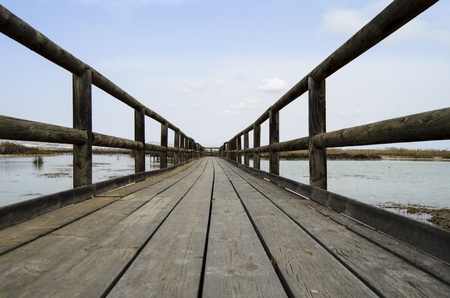 Wooden walkway in Spainの写真素材