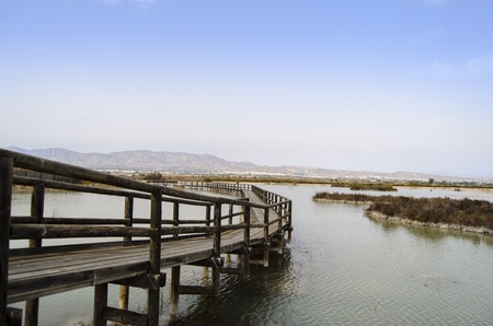 Wooden walkway in Spainの写真素材