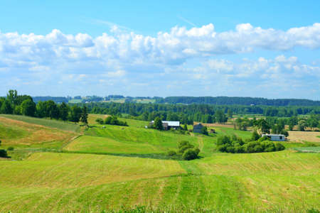 Beautiful summer landscape  of green fields with bright blue skyの写真素材