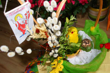Easter background with decorative chicken and catkin in a basketの写真素材
