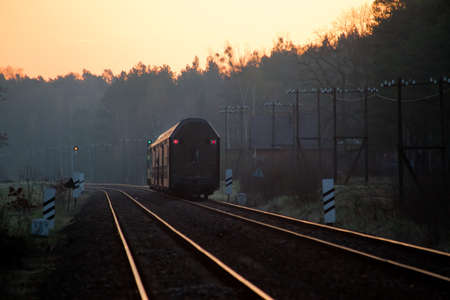 Passenger train hauled by the diesel locomotive passing the forestの写真素材