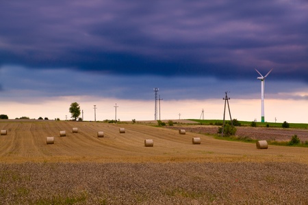 Summer landscape with rye field, wind turbines and electric polesの写真素材