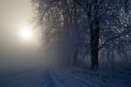 Winter landscape at sunny frozen morningの写真素材