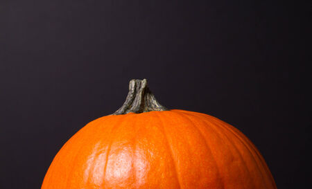 Pumpkinの写真素材